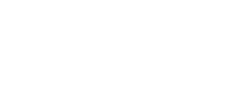 RDZN - German Football - Blog